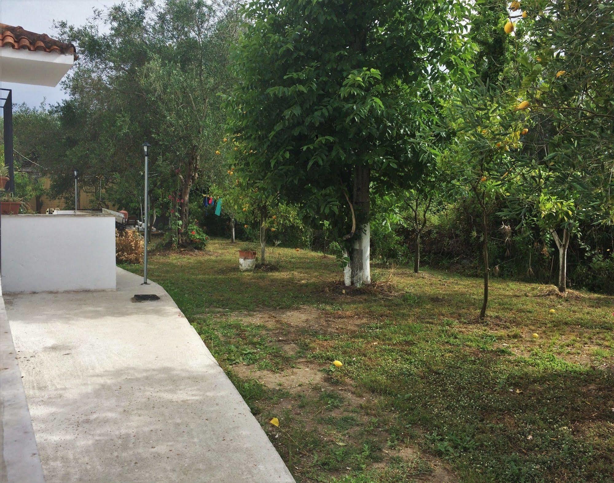 Captains Studios & Apartments Kavos Luaran gambar